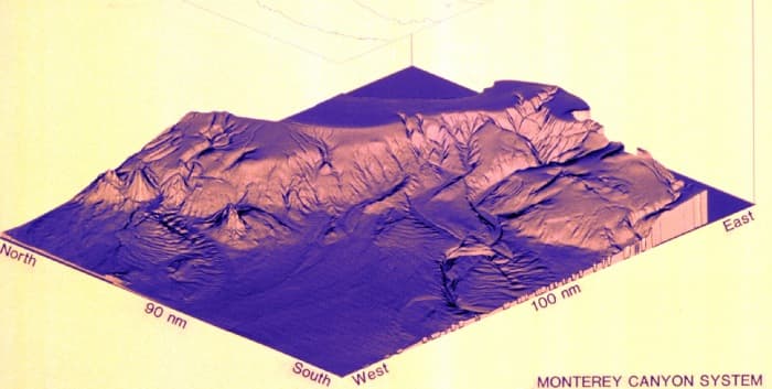 Monterey Canyon