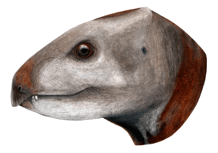 Albalophosaurus