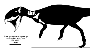 Chaoyangsaurus