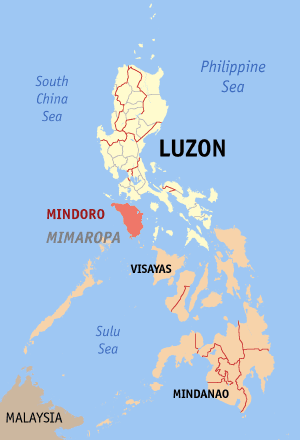 Mindoro scops owl