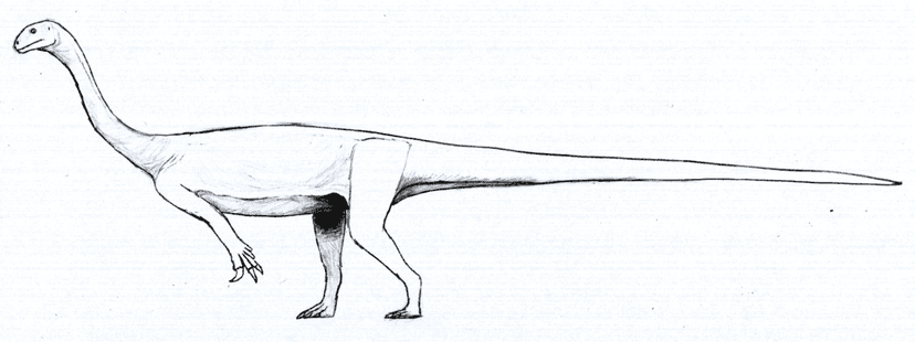 Arcusaurus