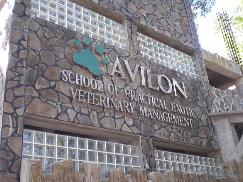 Avilon Zoo