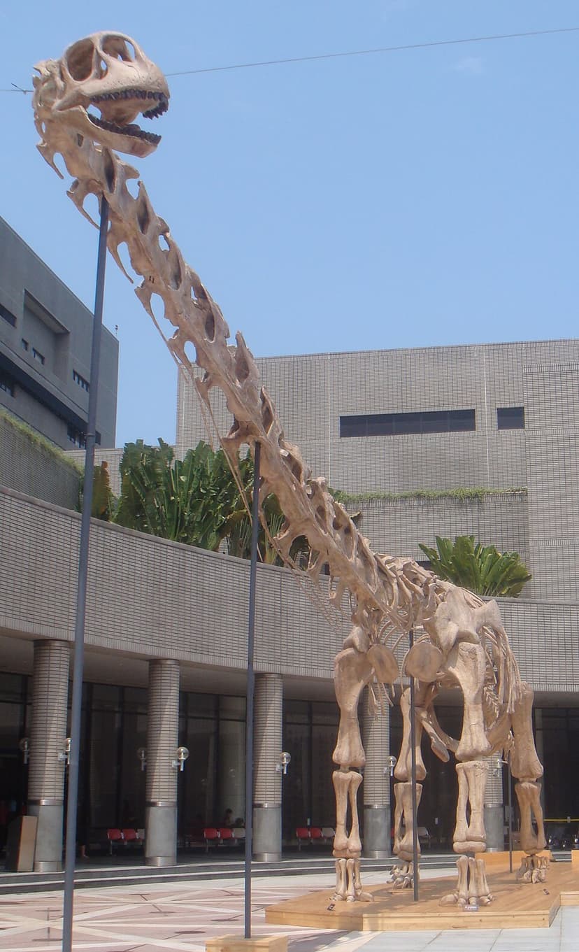 Daxiatitan