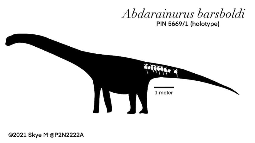 Abdarainurus