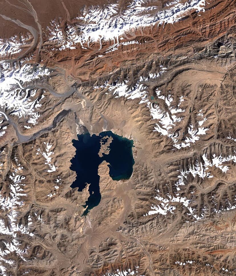 Karakul