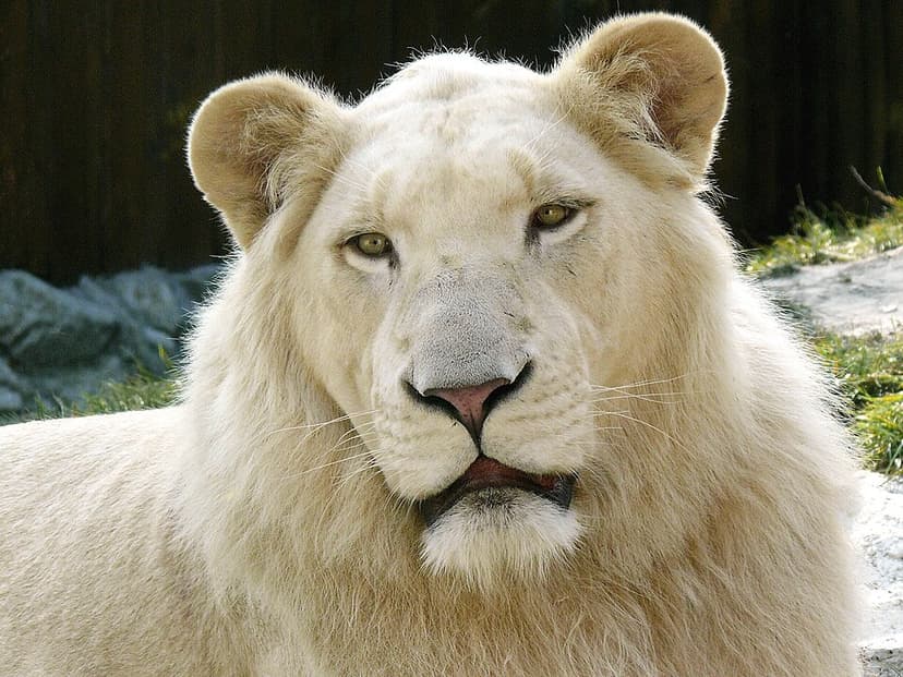 Bratislava Zoo