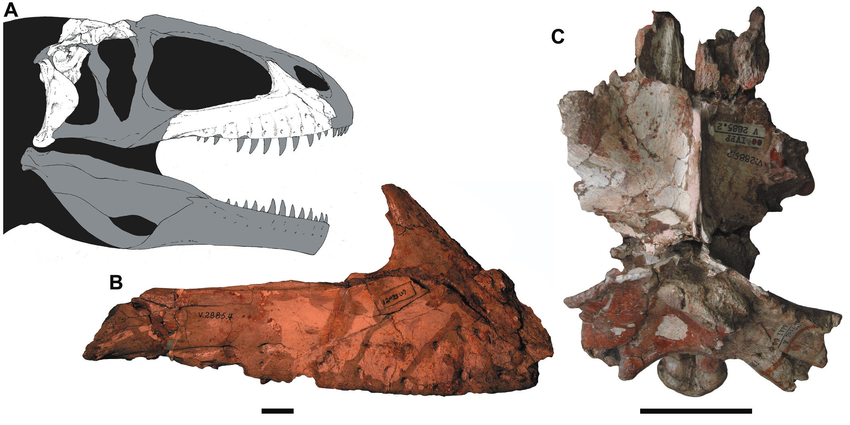 Alashansaurus