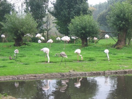 WWT Martin Mere