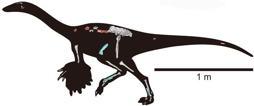 Tyrannomimus