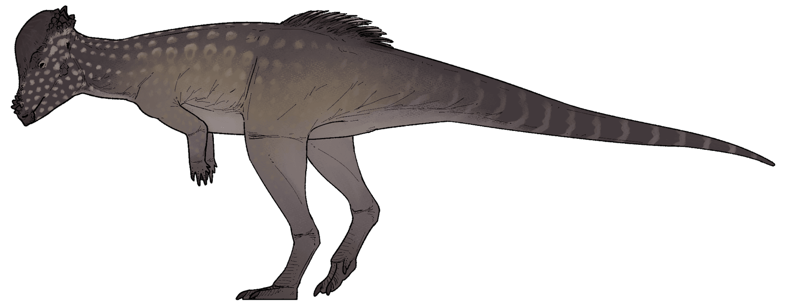 Alaskacephale