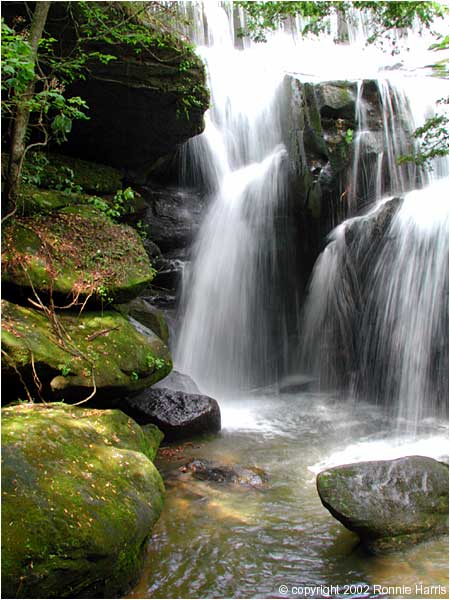 Dismals Canyon