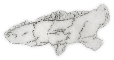 Tatisaurus