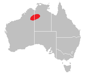 Cryptagama aurita