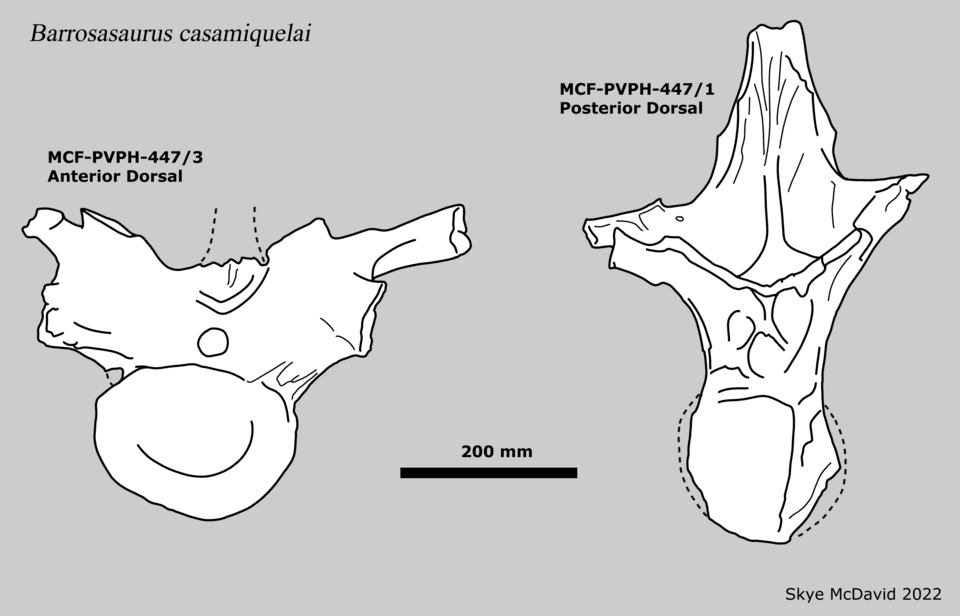 Barrosasaurus