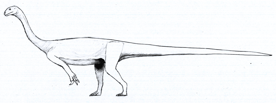 Arcusaurus