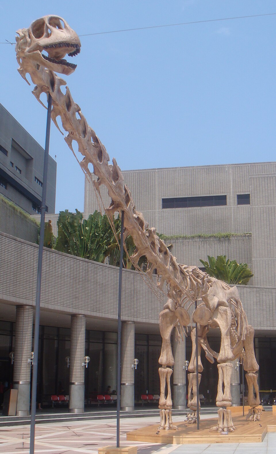 Daxiatitan