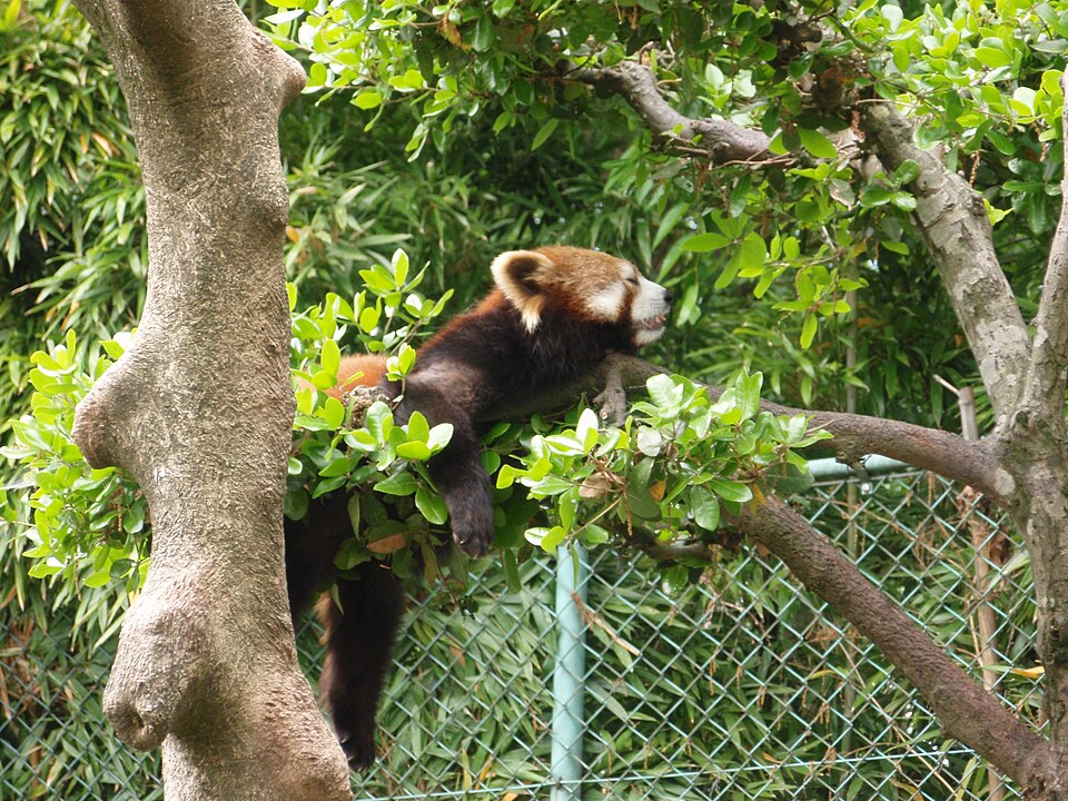 Sabae Nishiyama Park Zoo