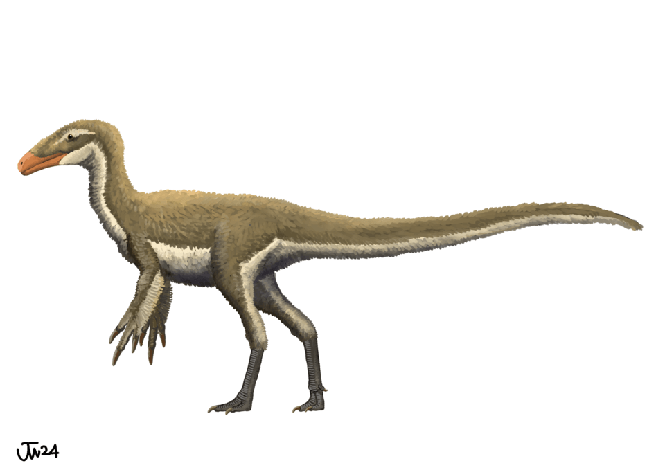 Aorun