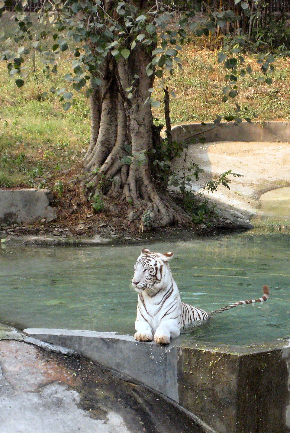 National Zoological Park