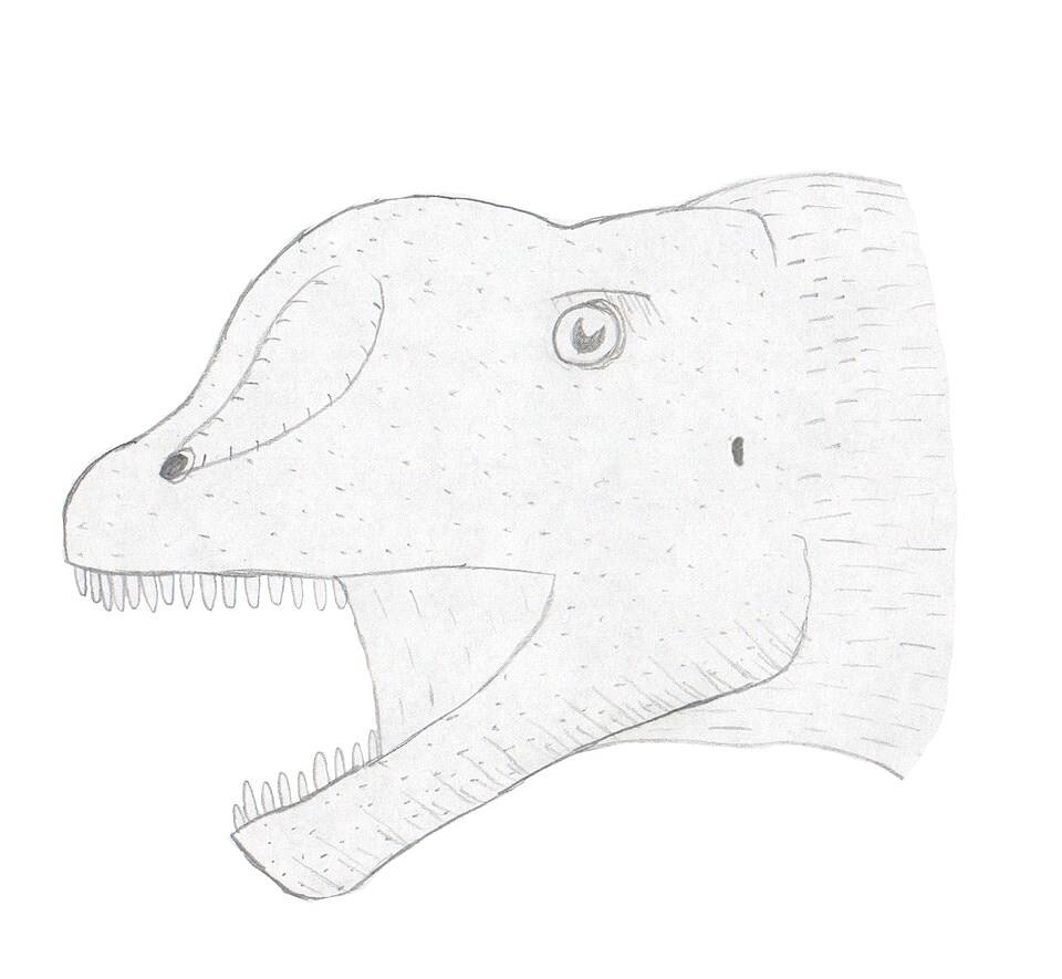Chebsaurus