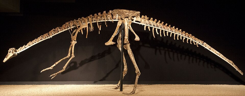 Anserimimus