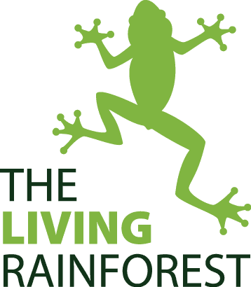 The Living Rainforest