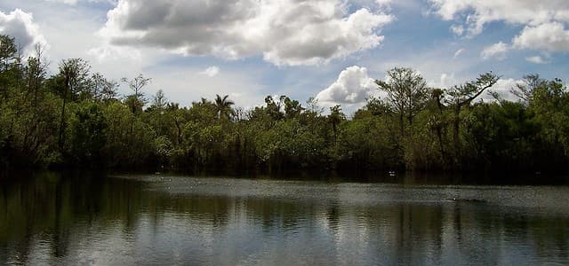 Deep Lake (Florida)