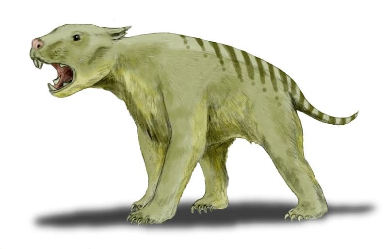 Fossil Cave