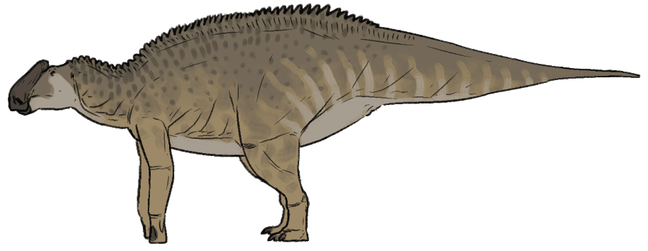 Bonapartesaurus