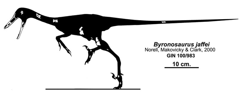 Byronosaurus