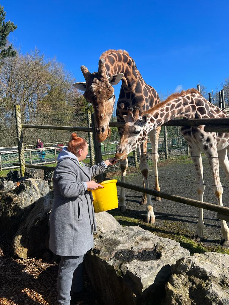 Folly Farm