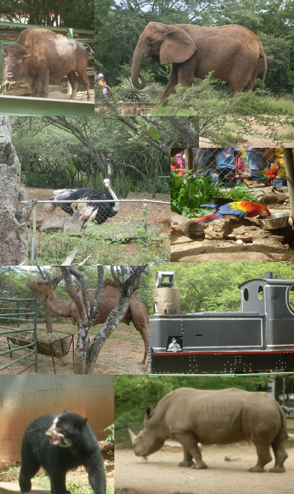 Bararida Zoo