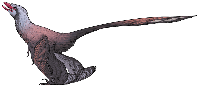 Changzhousaurus