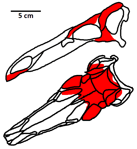 Dravidosaurus