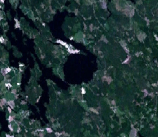 Karikkoselkä