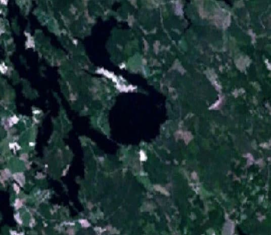 Karikkoselkä