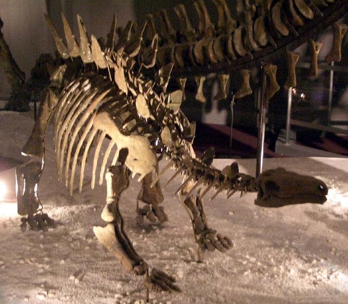 Chungkingosaurus